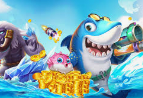 云开足球平台2024最新版