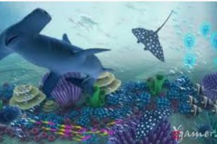 云开足球平台手机版